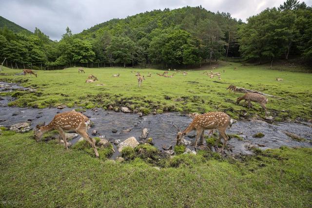 五一假期能爽玩的6个地方，春和景明，节日氛围浓